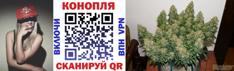 Цена Неман ГАШИШ  Alpha-PVP  КОКАИН  МЕФ  НБОМе  Канабис 