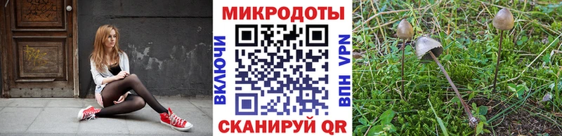 где найти Неман Псилоцибиновые грибы ЛСД